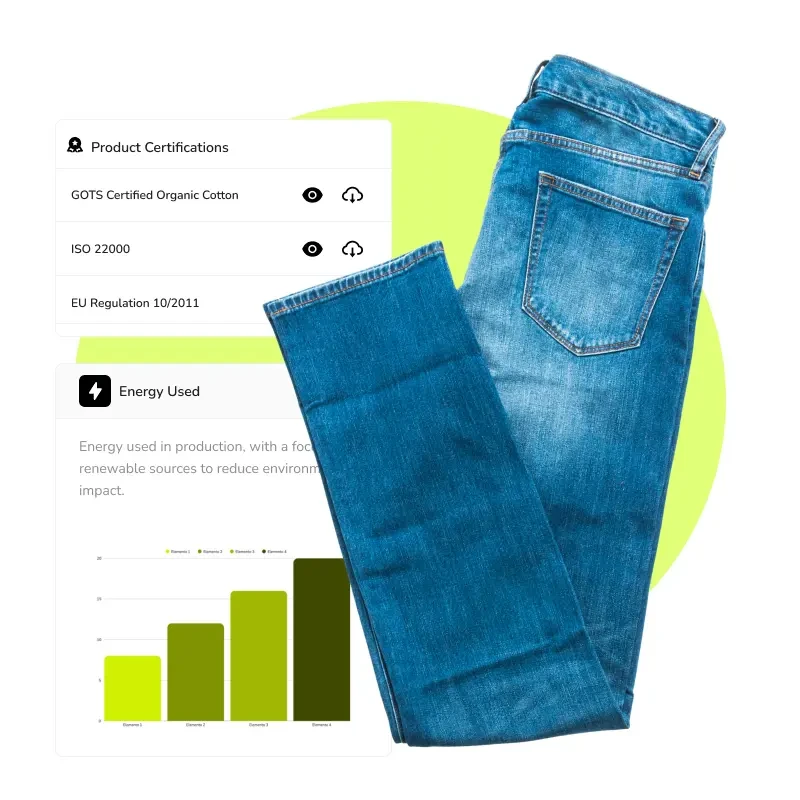 Frame 8 (2) Frame 8 (2)